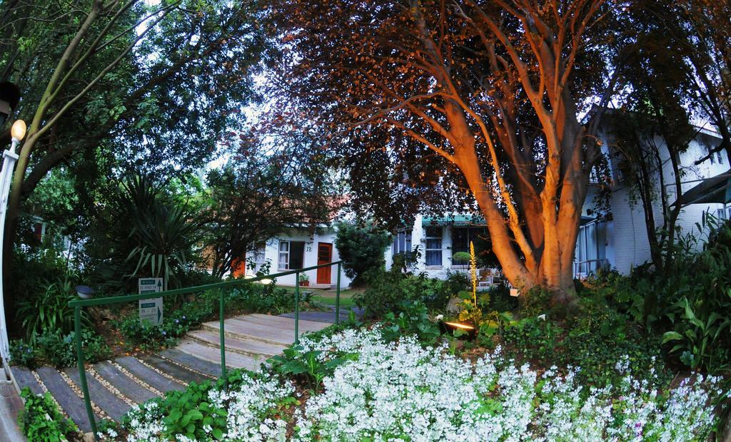 Garden Place Guest Houses Johannesburg Cameră foto