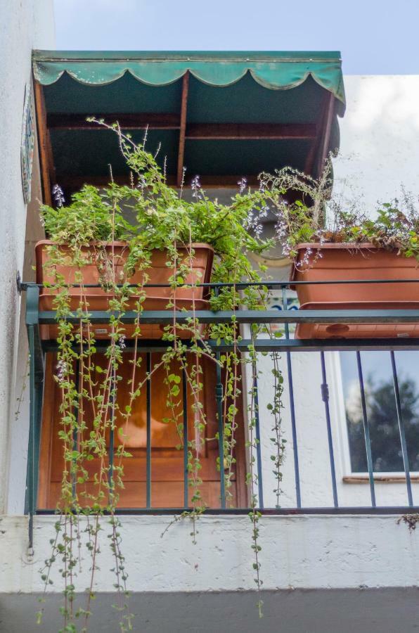 Garden Place Guest Houses Johannesburg Exterior foto